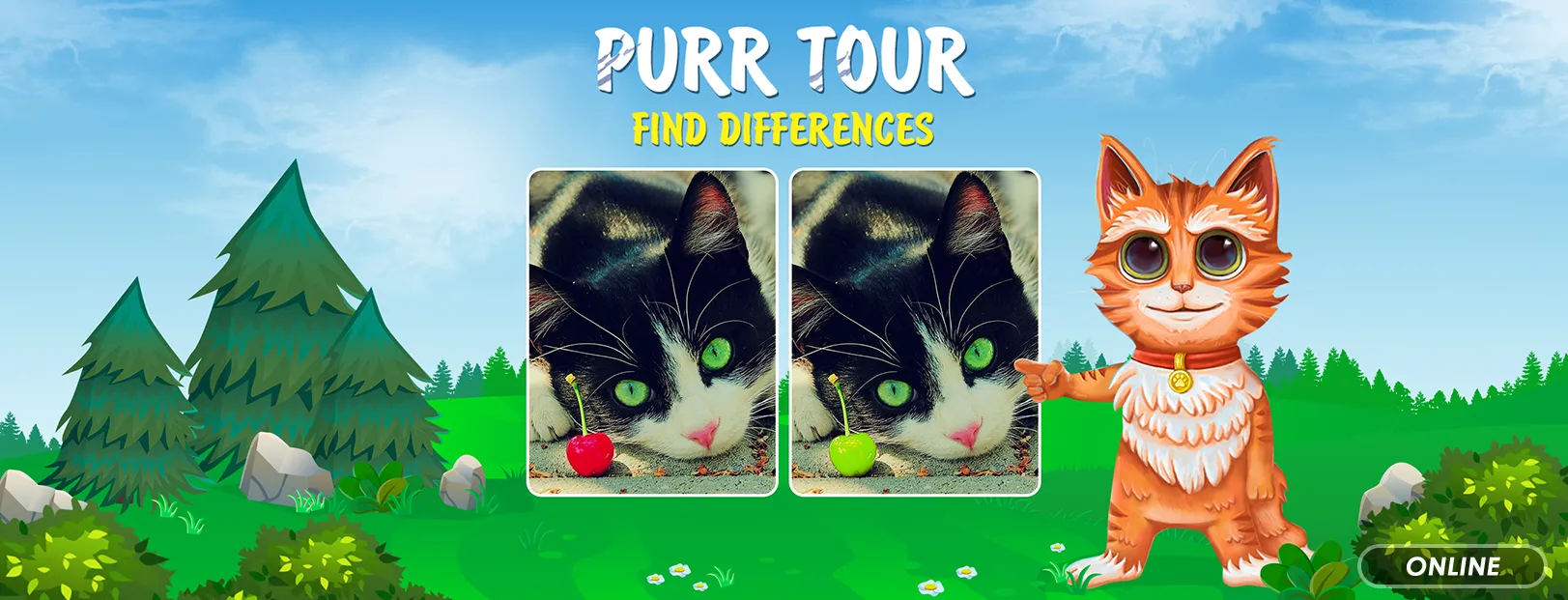 Purr tour: Find differences